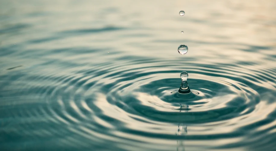 Warming Waters & 'Flesh-Eating' Bacteria: What You Need to Know