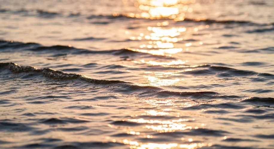 Vibrio Vulnificus Rising: Understanding the 'Flesh-Eating' Bacteria Threat