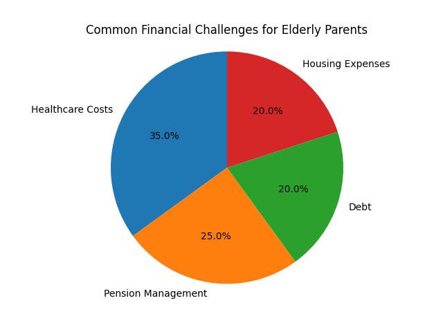 Common Financial Challenges for Elderly Parents